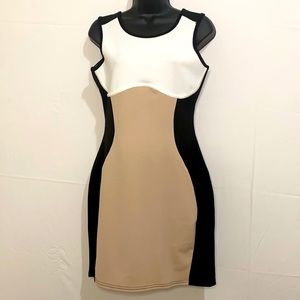 Evita Color Block Dress